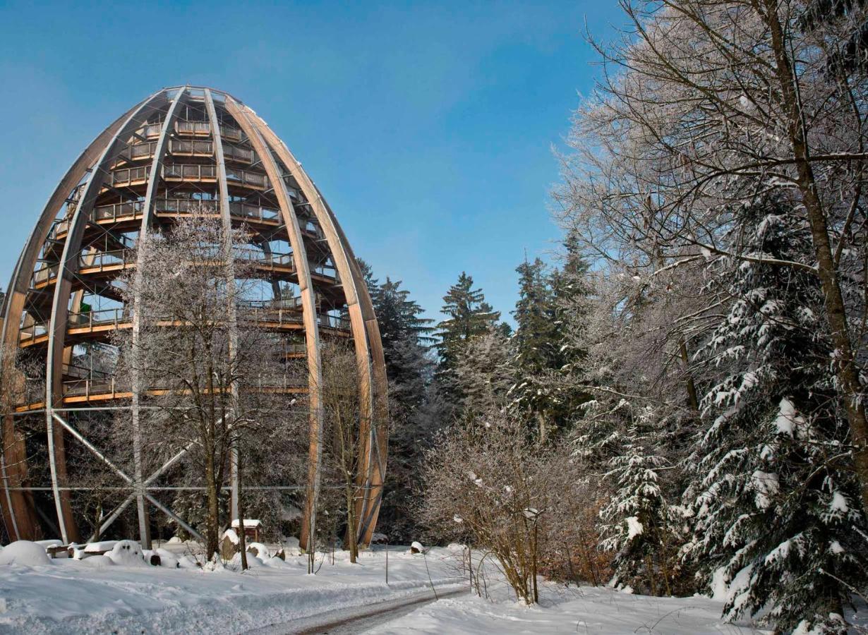 Ferienwohnung Im Landhaus Am Nationalpark Ludwigsthal Exterior photo